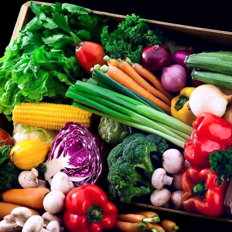 农业植保，专业服务