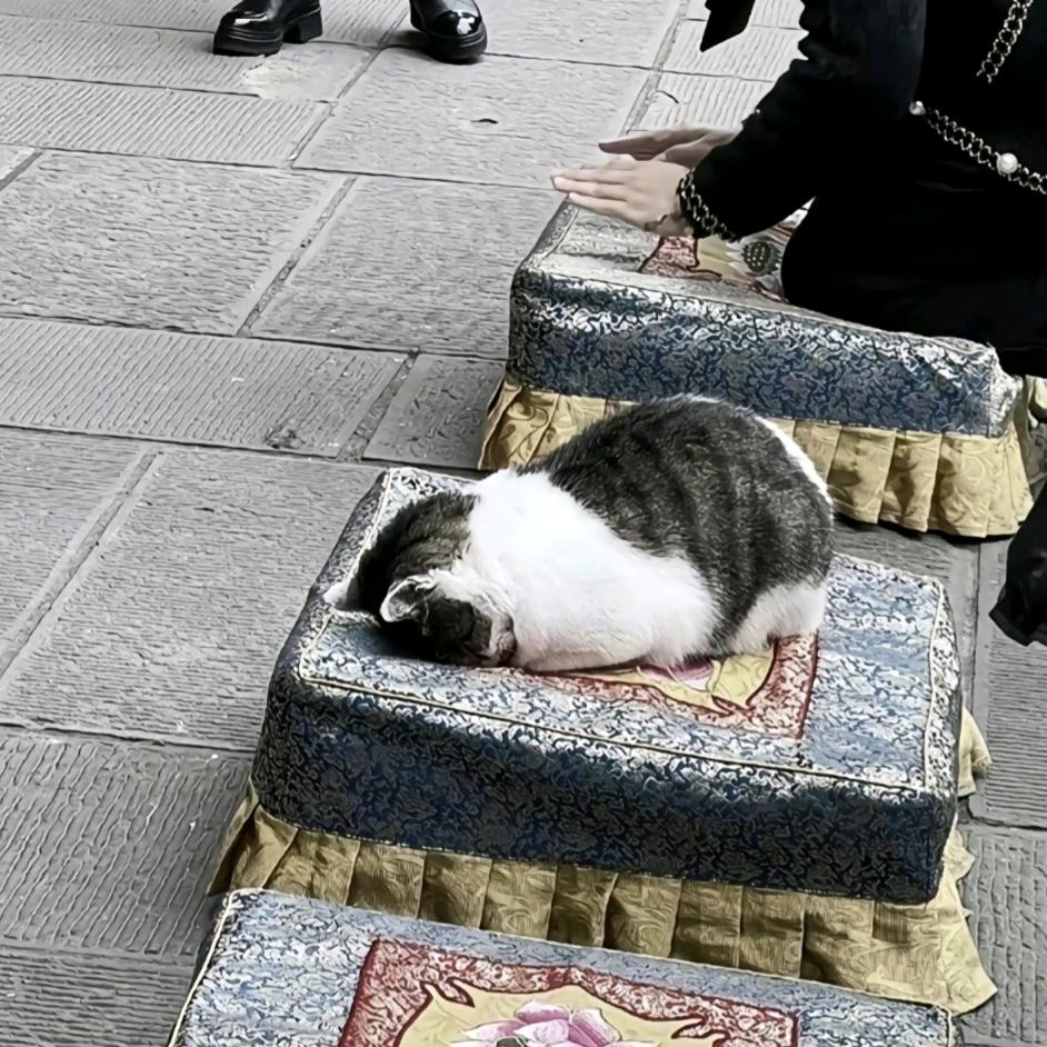 悔