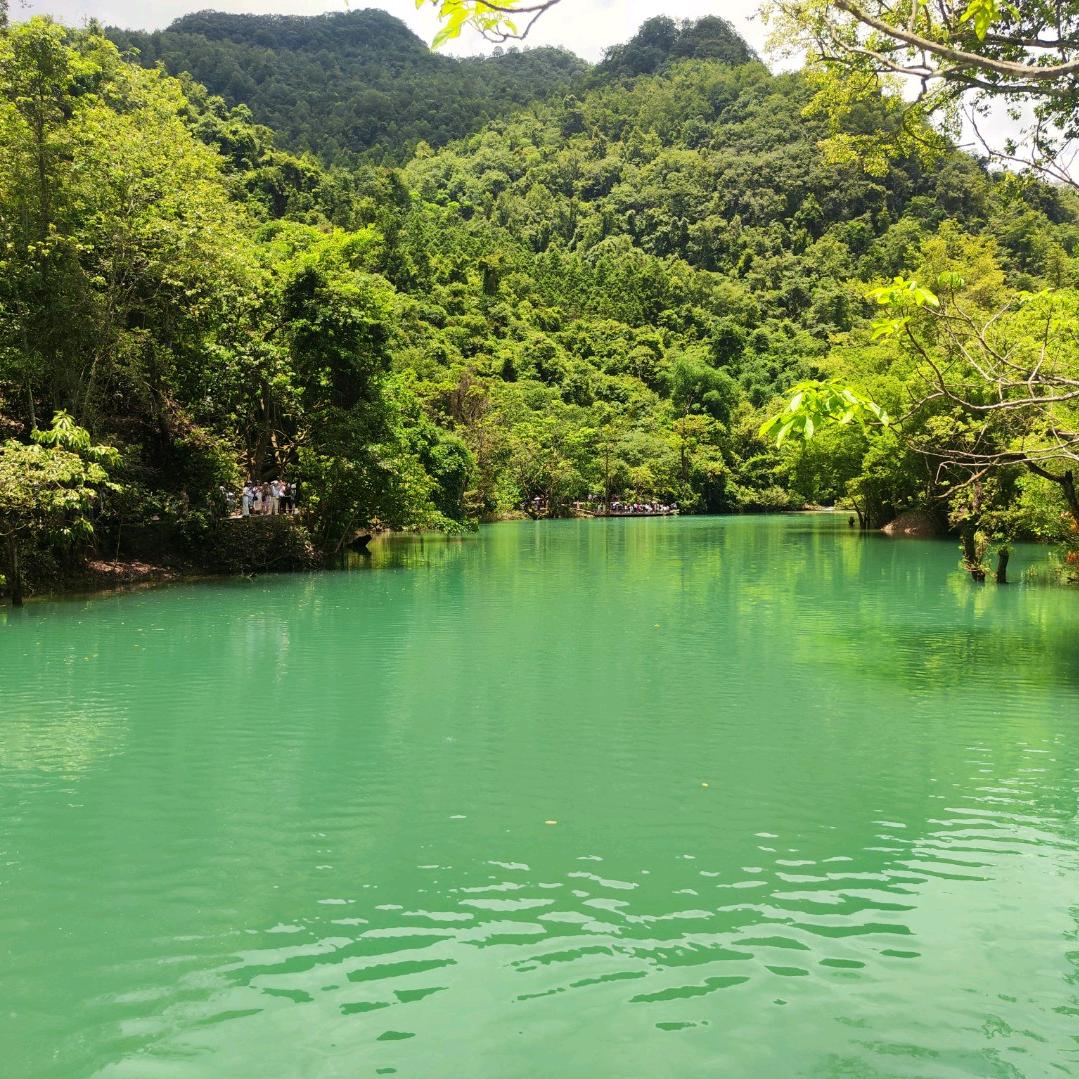 莫言老师小助理