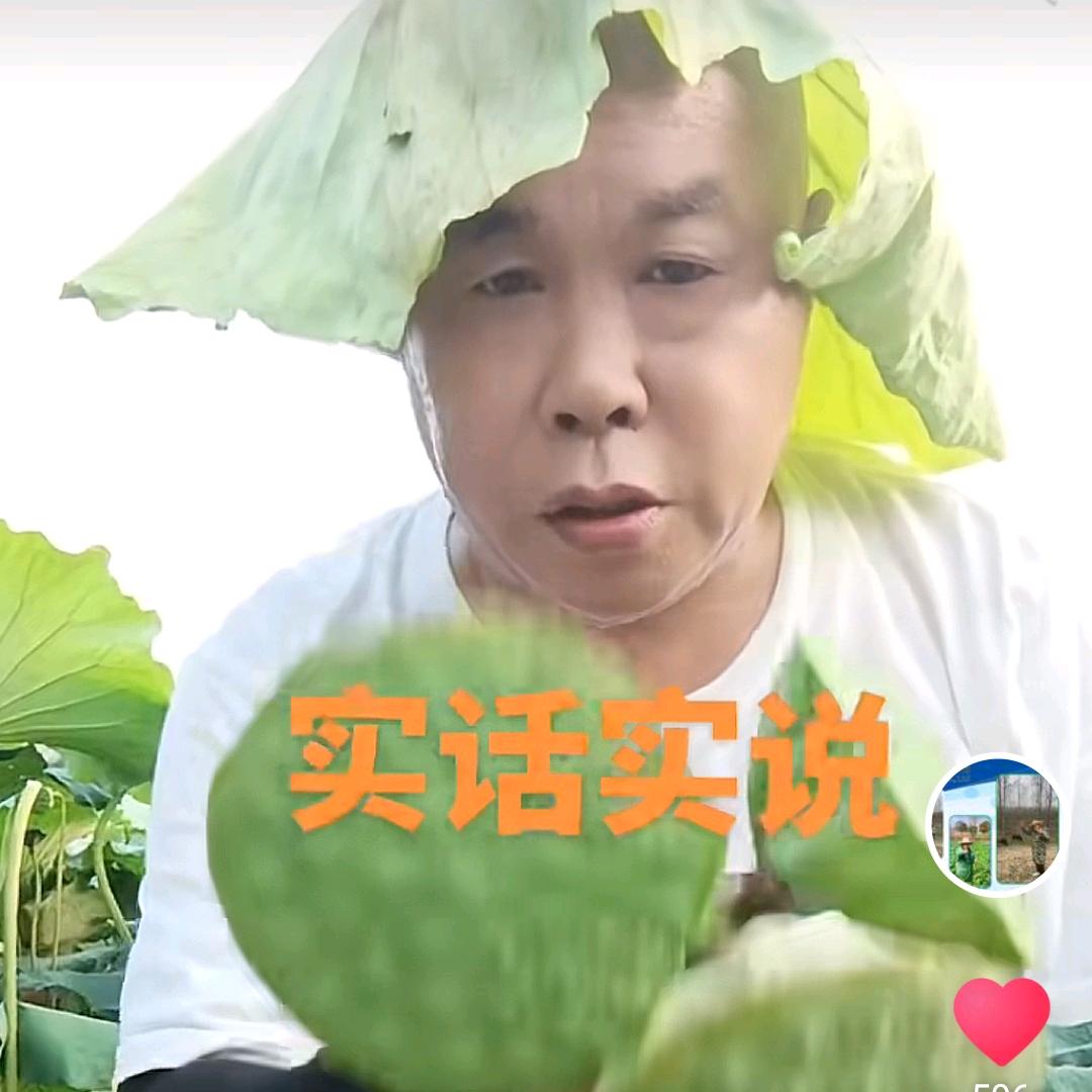 实话实说农村人