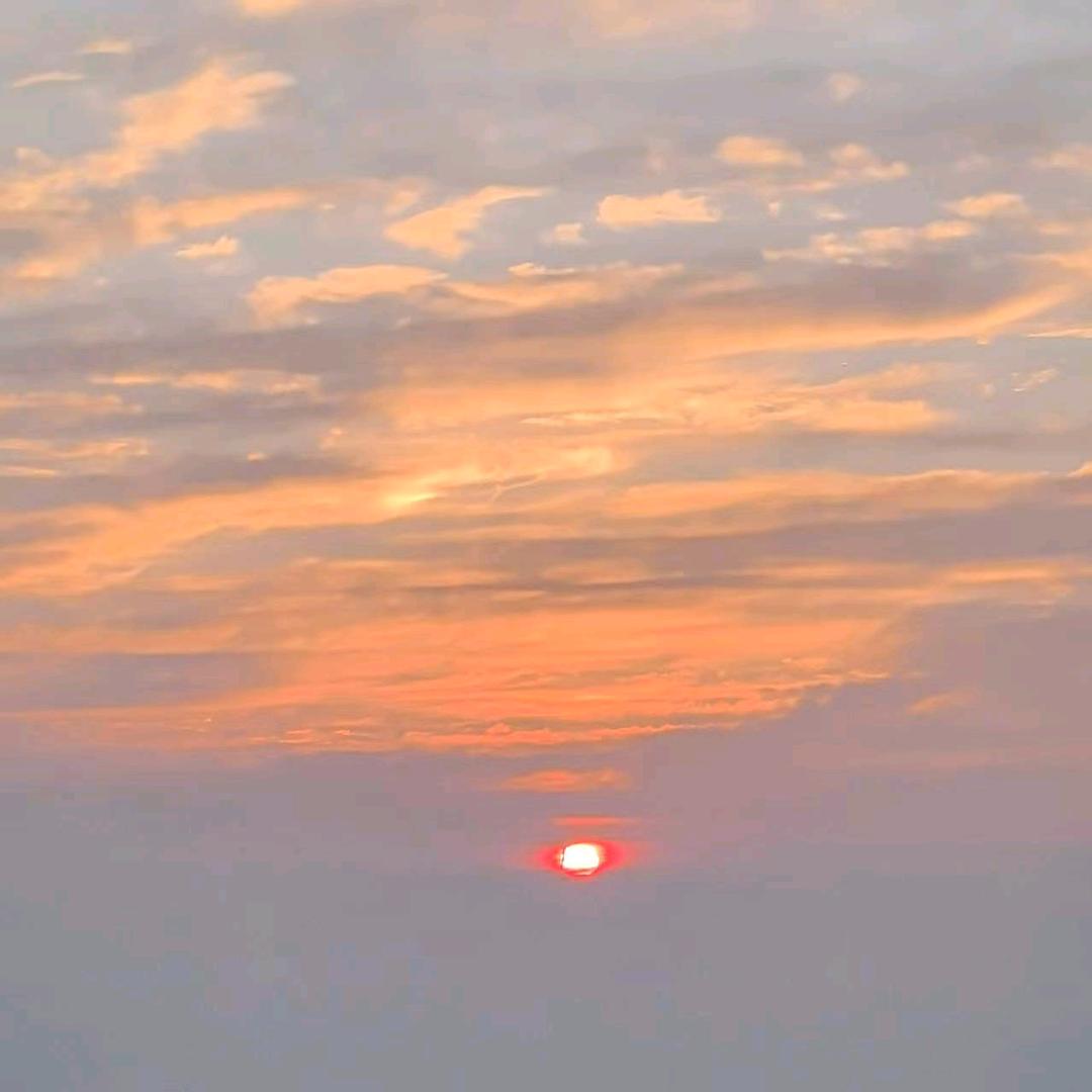 今天在上海