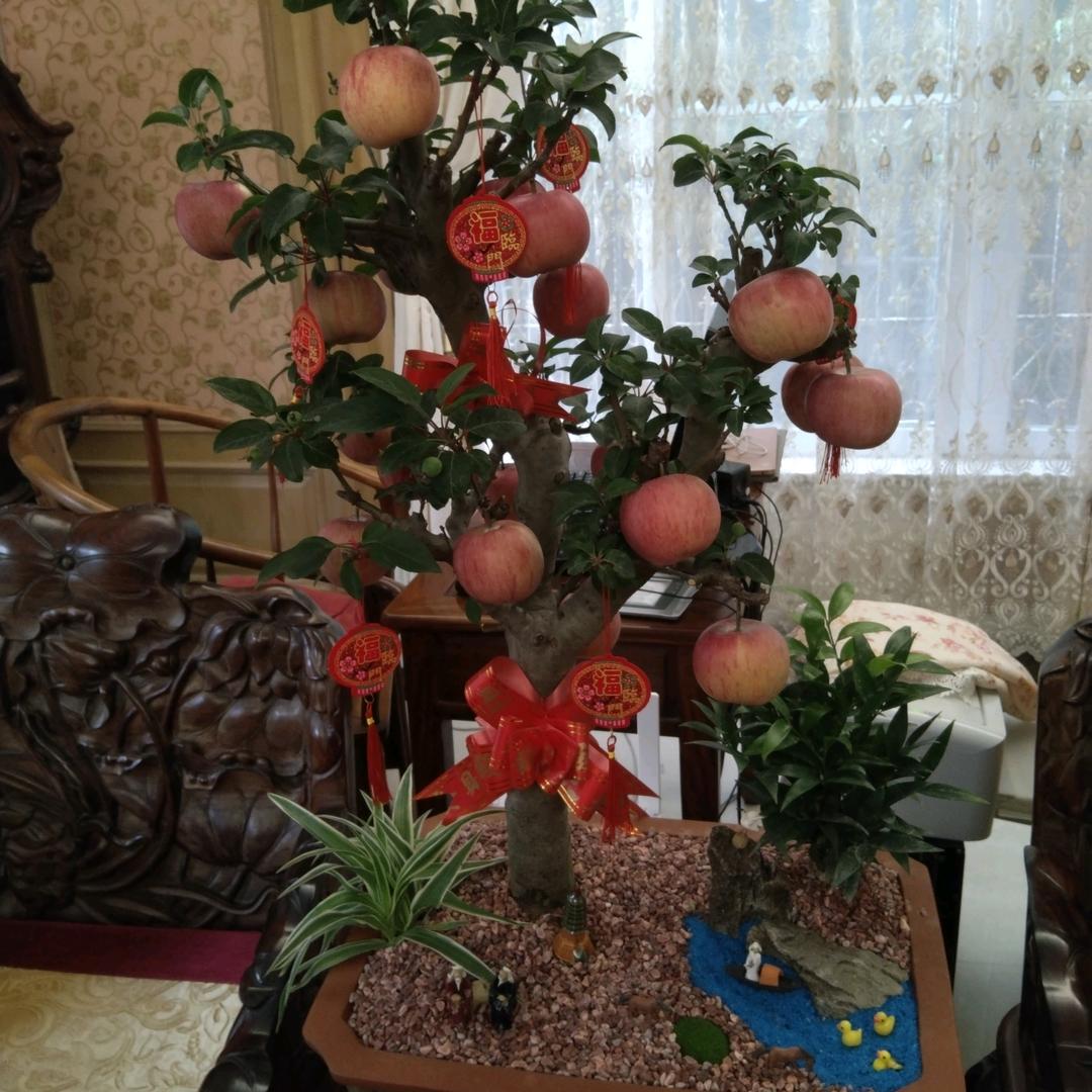 @红苹果🌺🌺🌹🌹