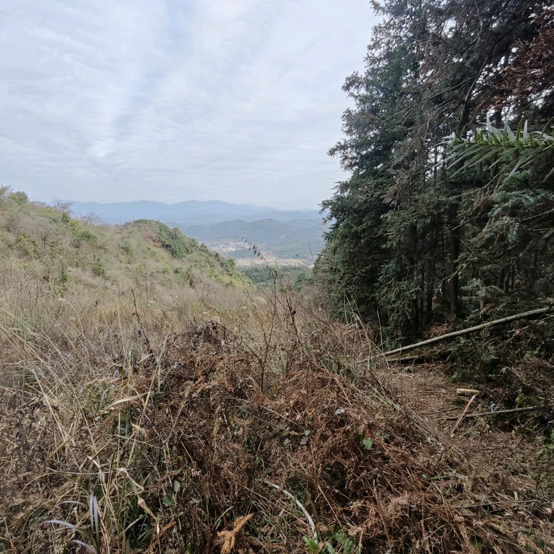 余生