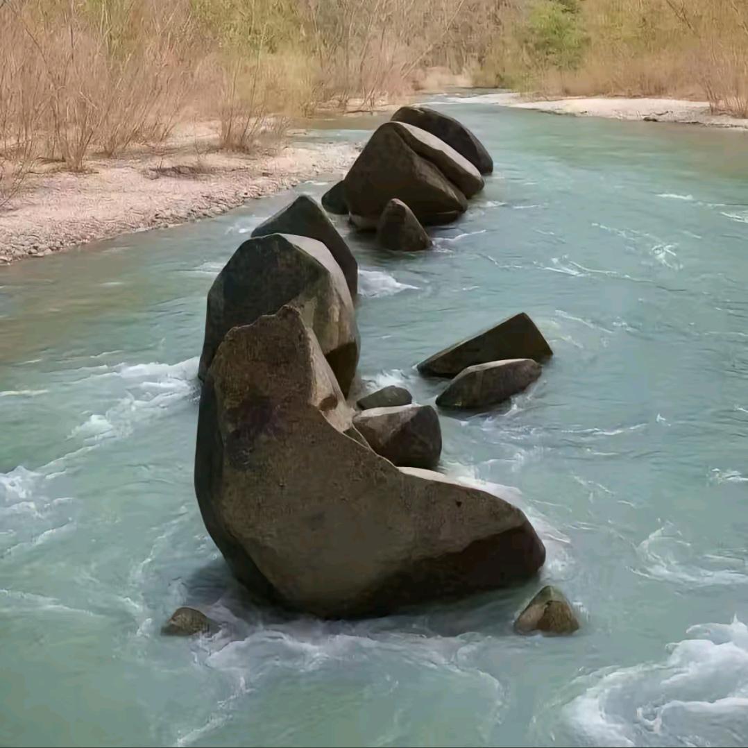 男宝拇