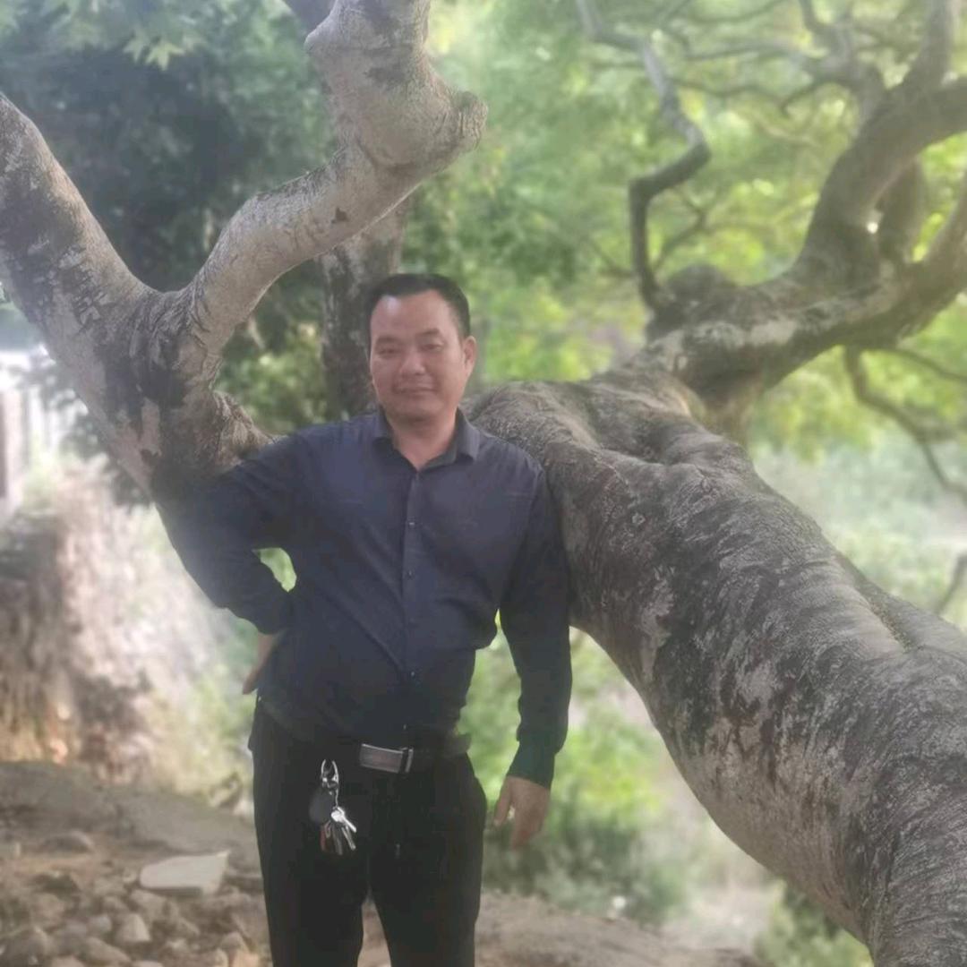 闽森红木装饰