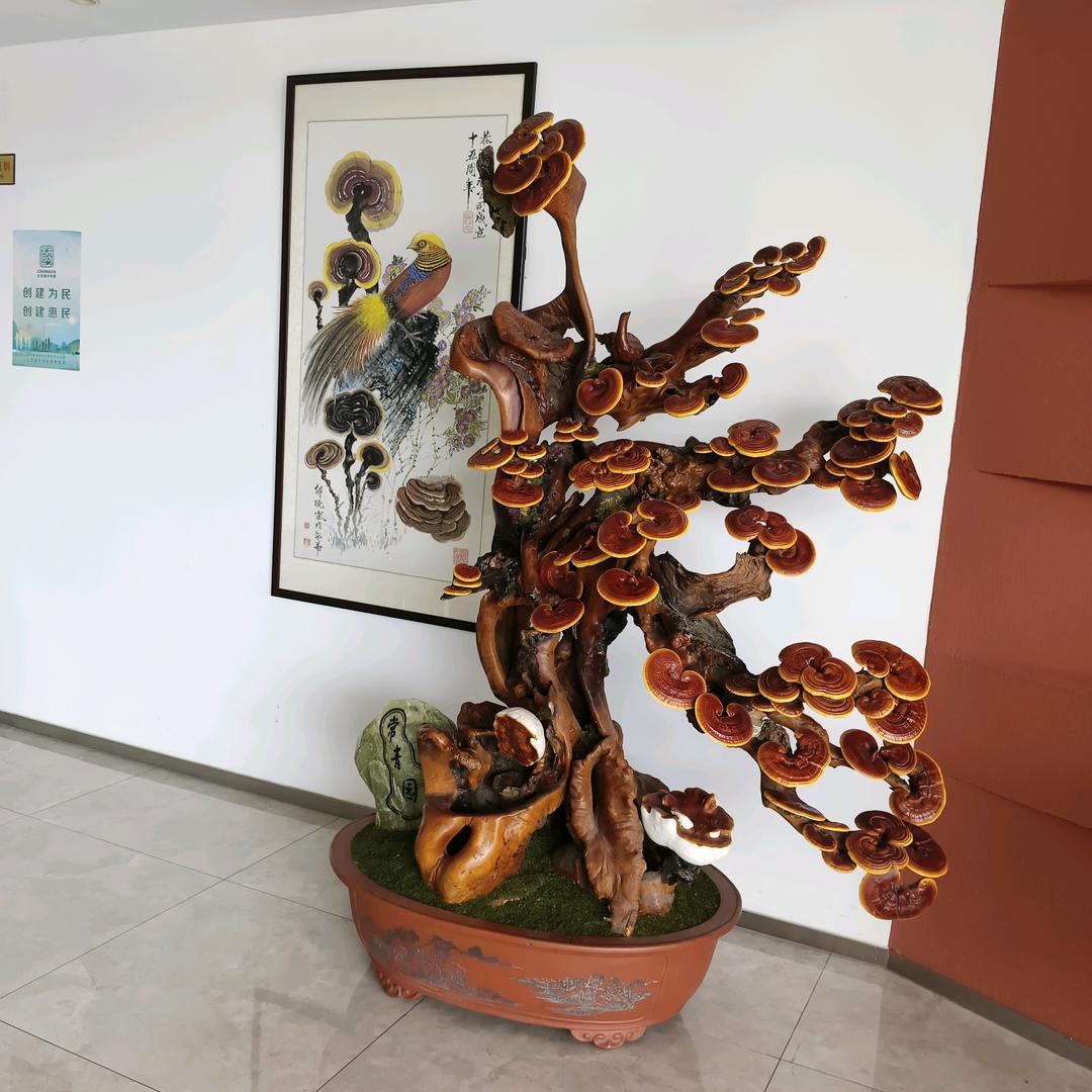 魏你更好🇨🇳