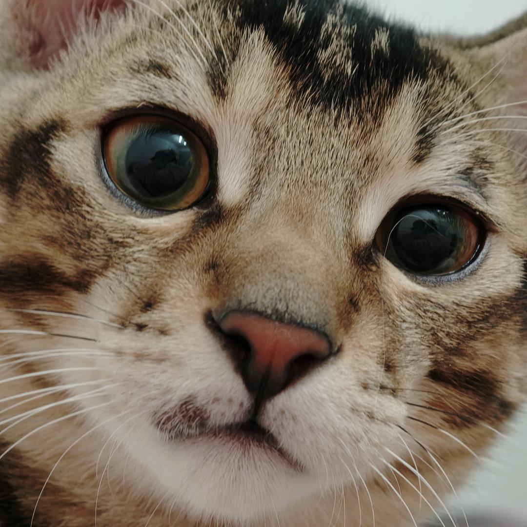 MM头像