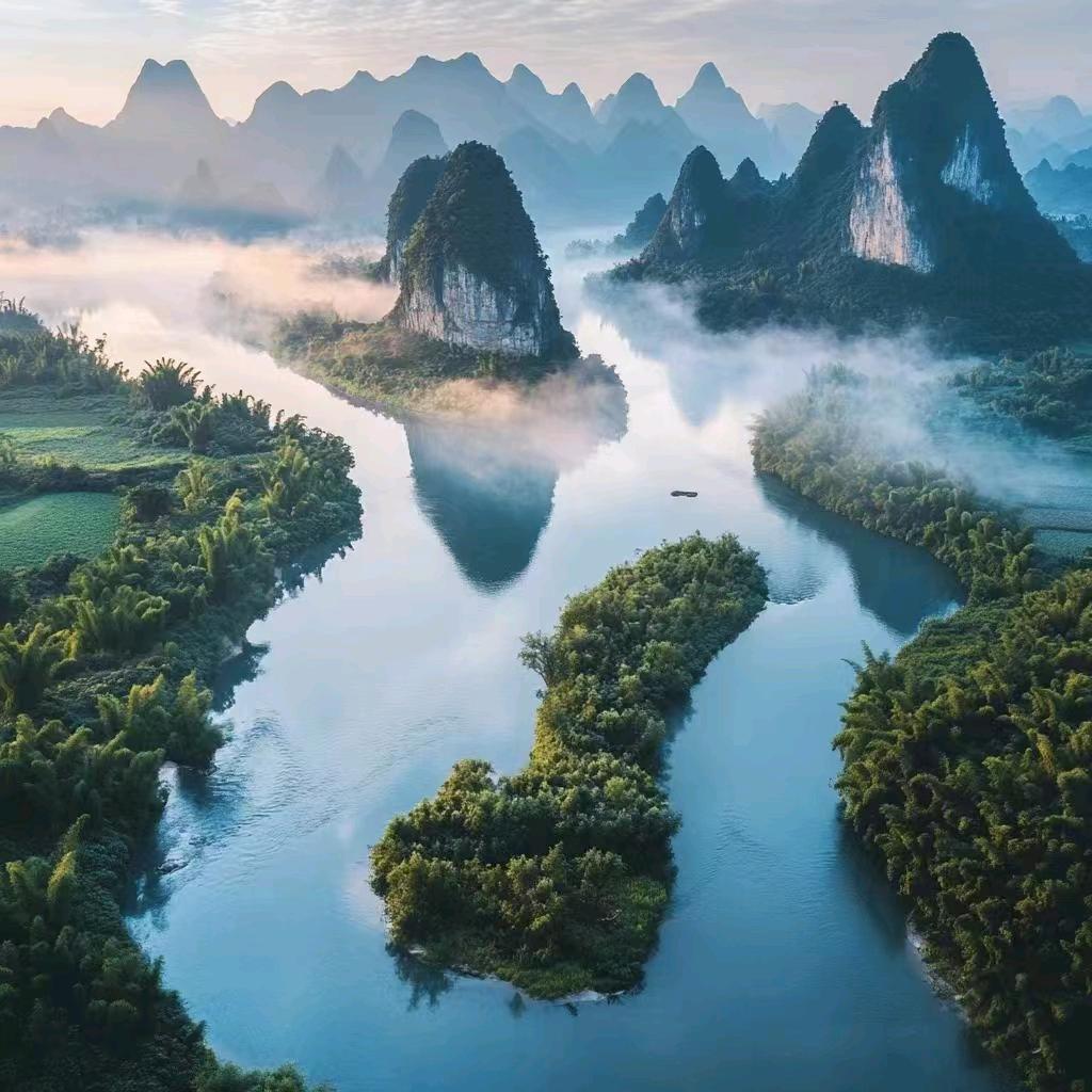 丽丽