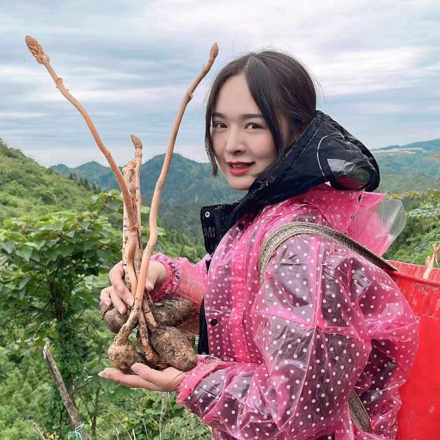 刘晓静农产品