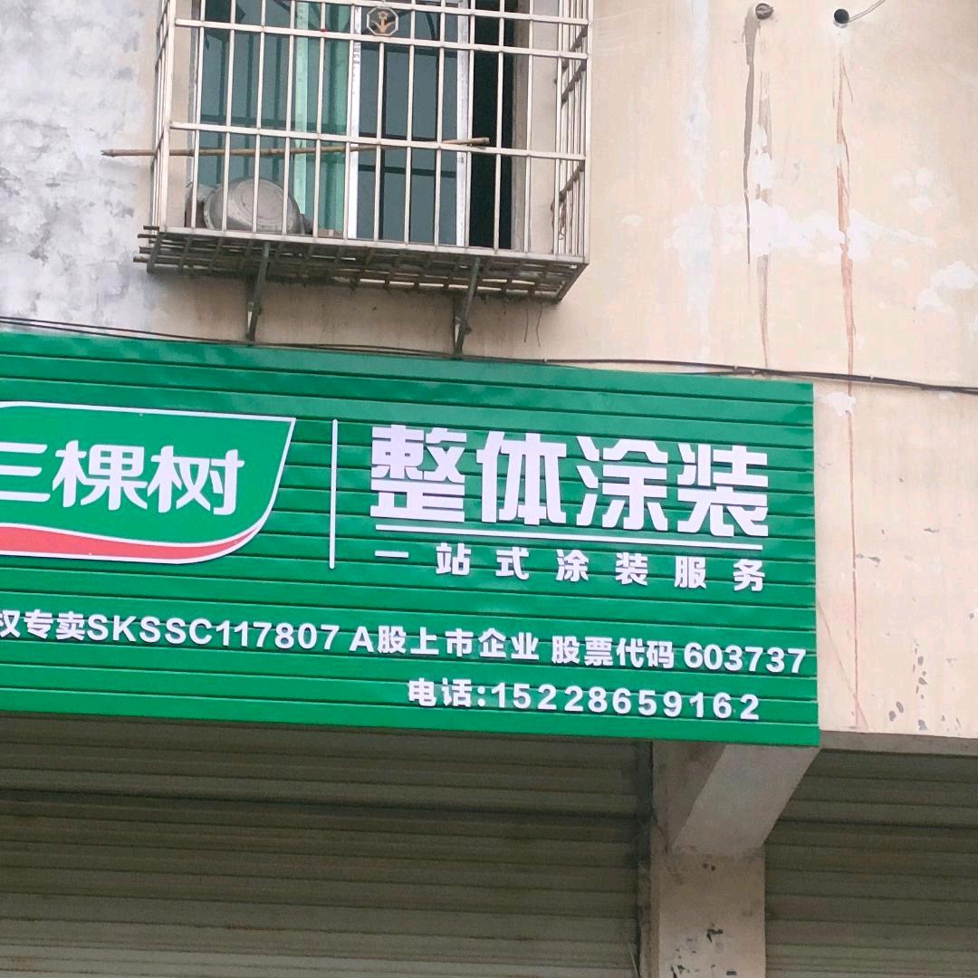 谭涂料内外墙专业装修