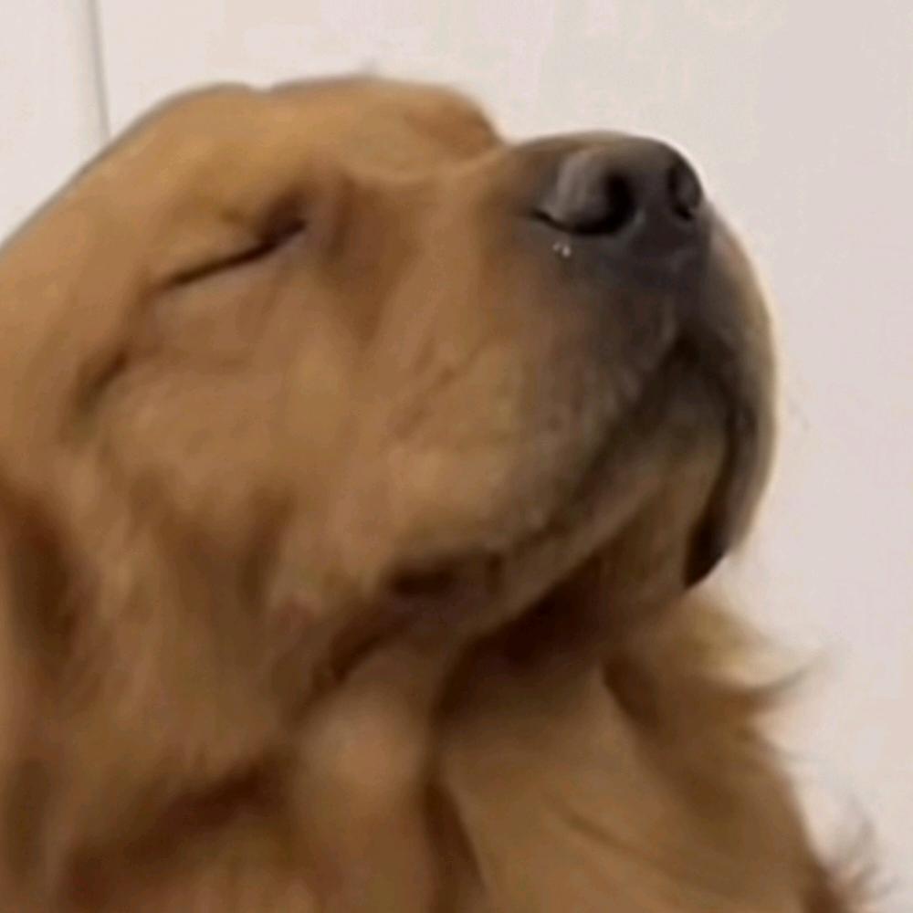 爱听灰色轨迹和冷雨夜