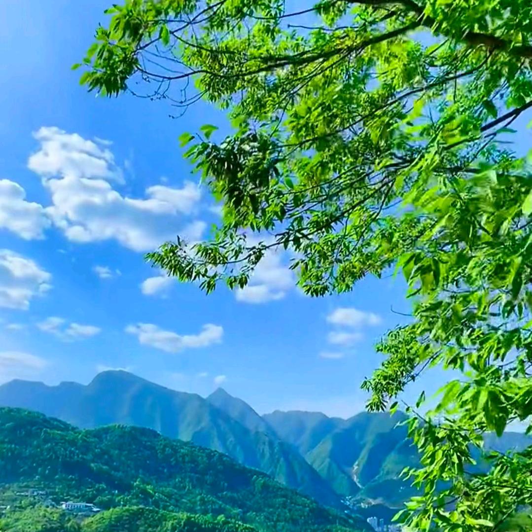 天下无双