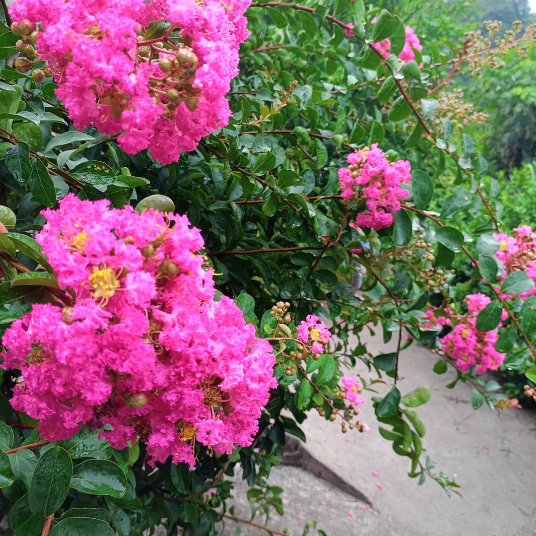 开开心心过一天，