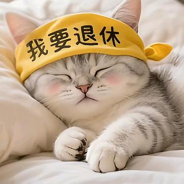 美丽绽放cri