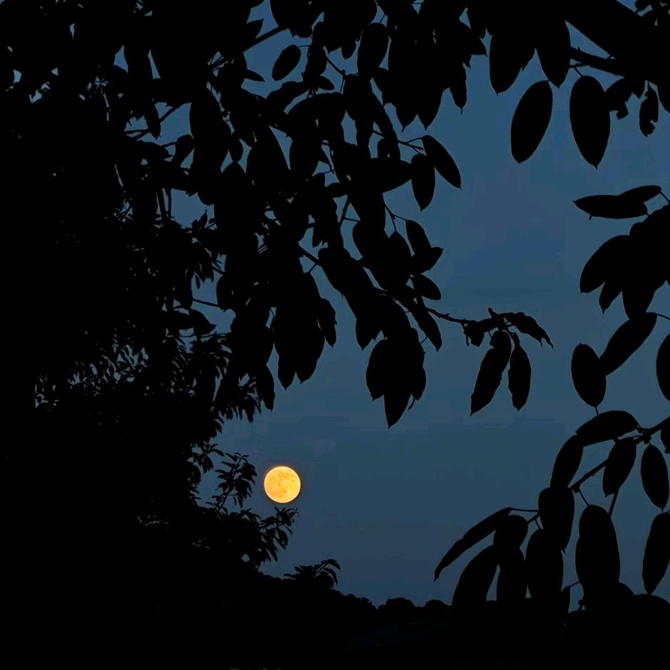 全屋定制家具工厂