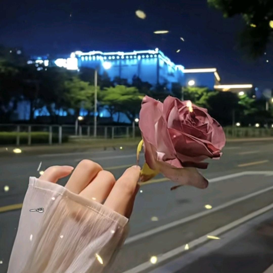 💐清风暖阳💐