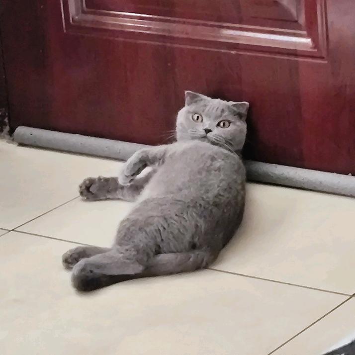 珠峰大本营、九寨沟、稻城亚丁都还没去……