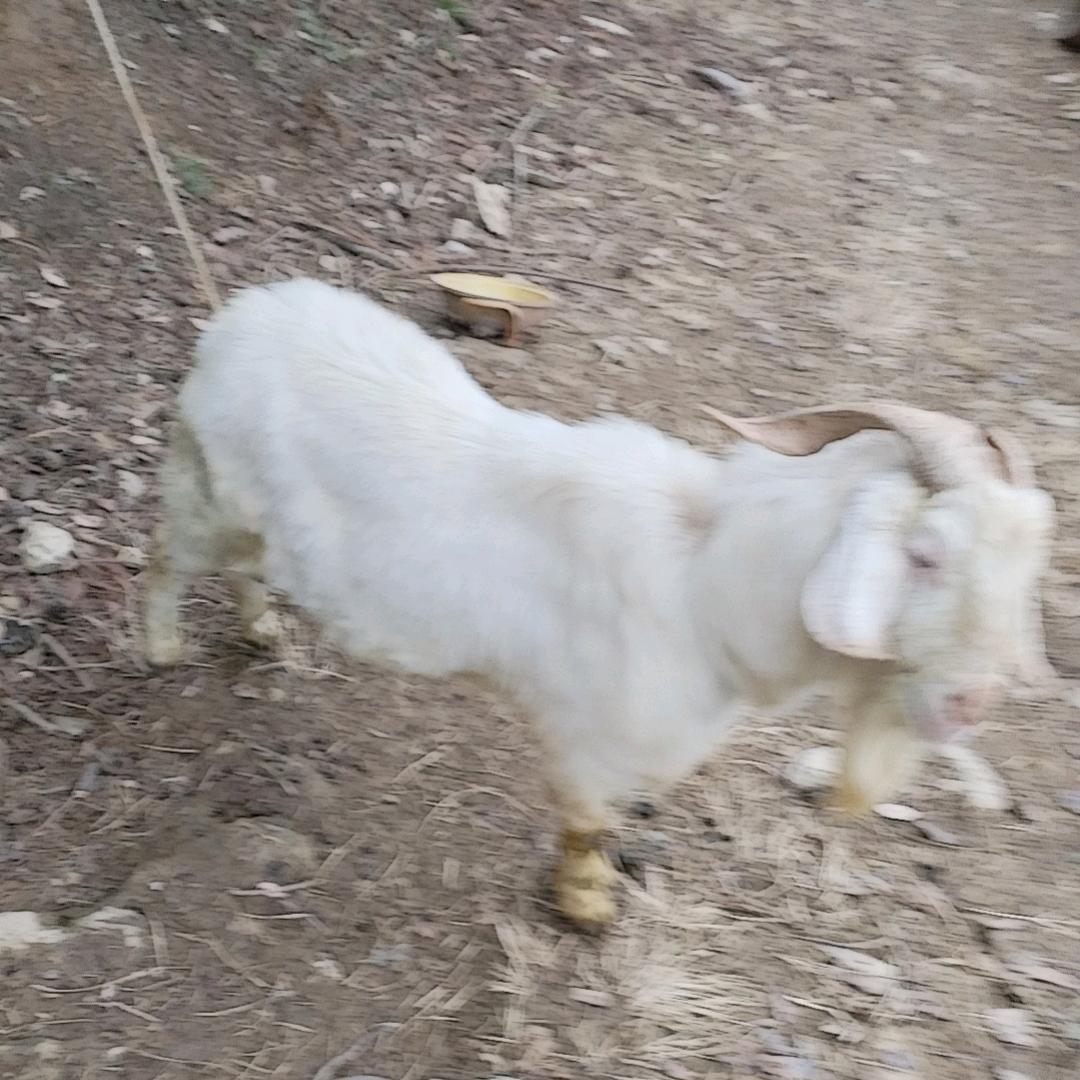 坚持到底