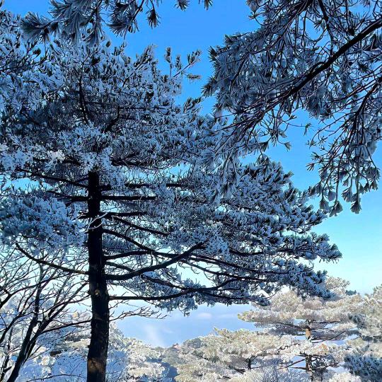 🍃东长城富平🌅