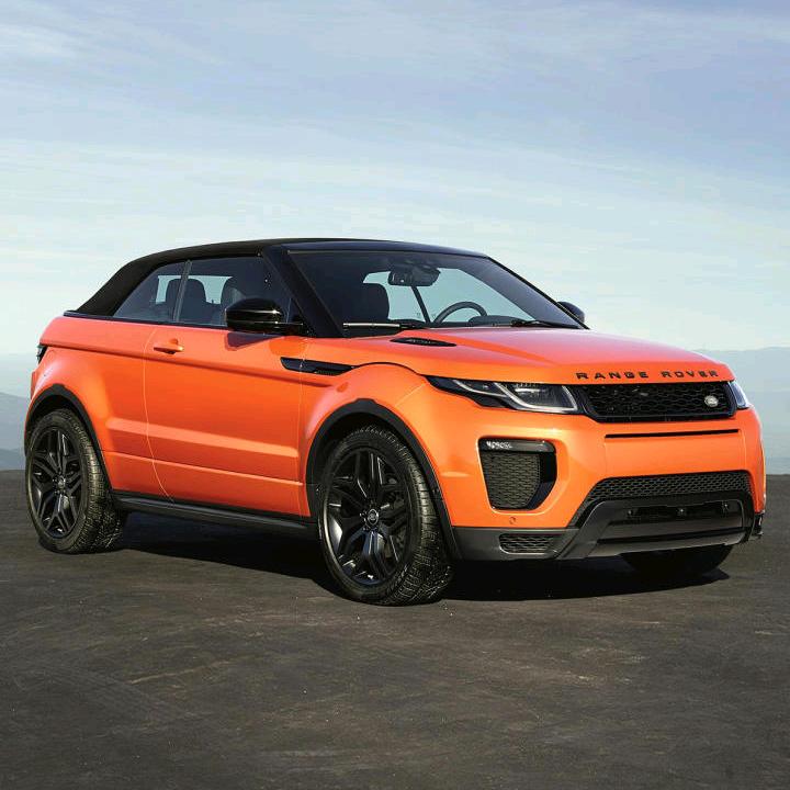 刘叔🌻🌻🌻🌻