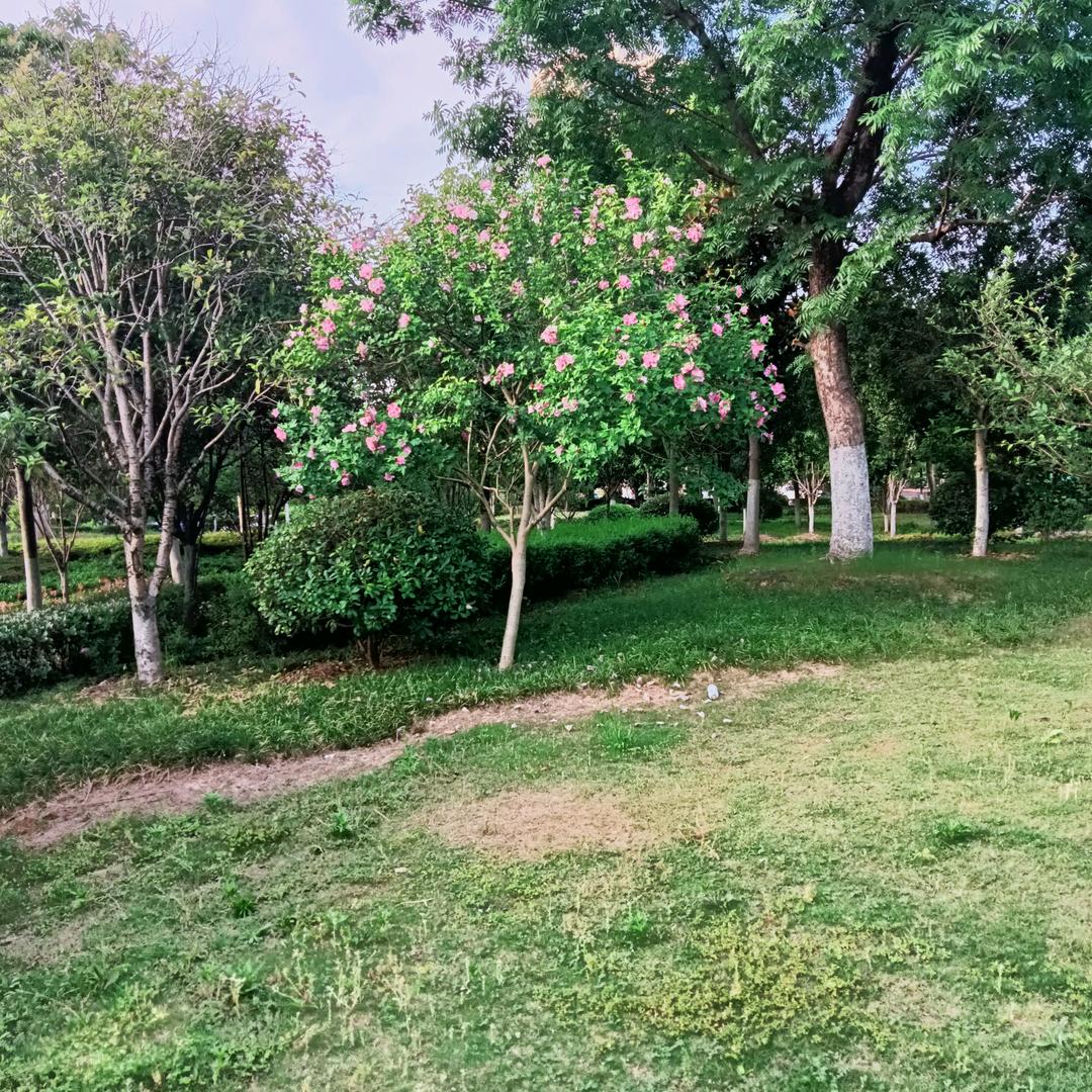 未来可期(๑òᆺó๑)