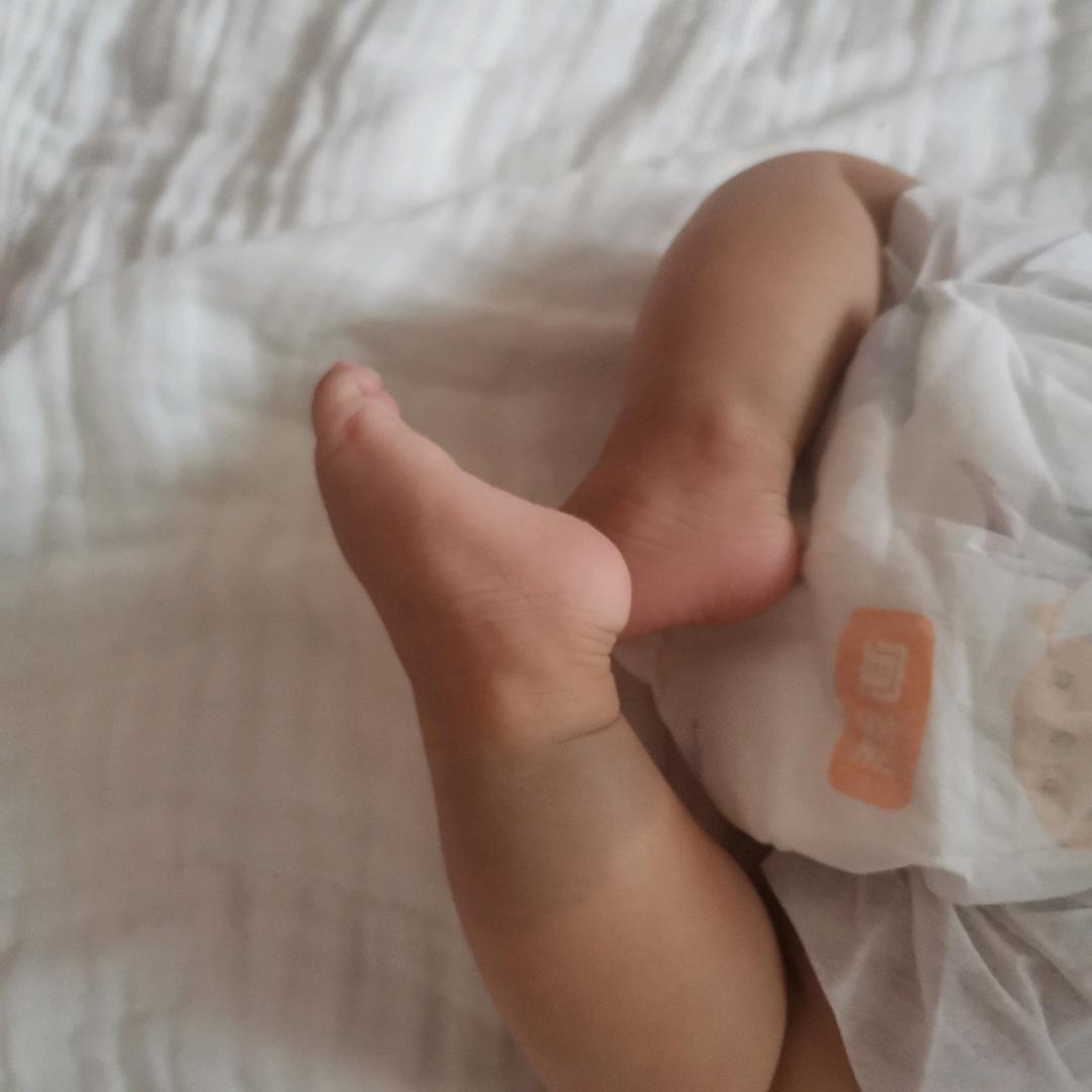 姢兹家（带娃）