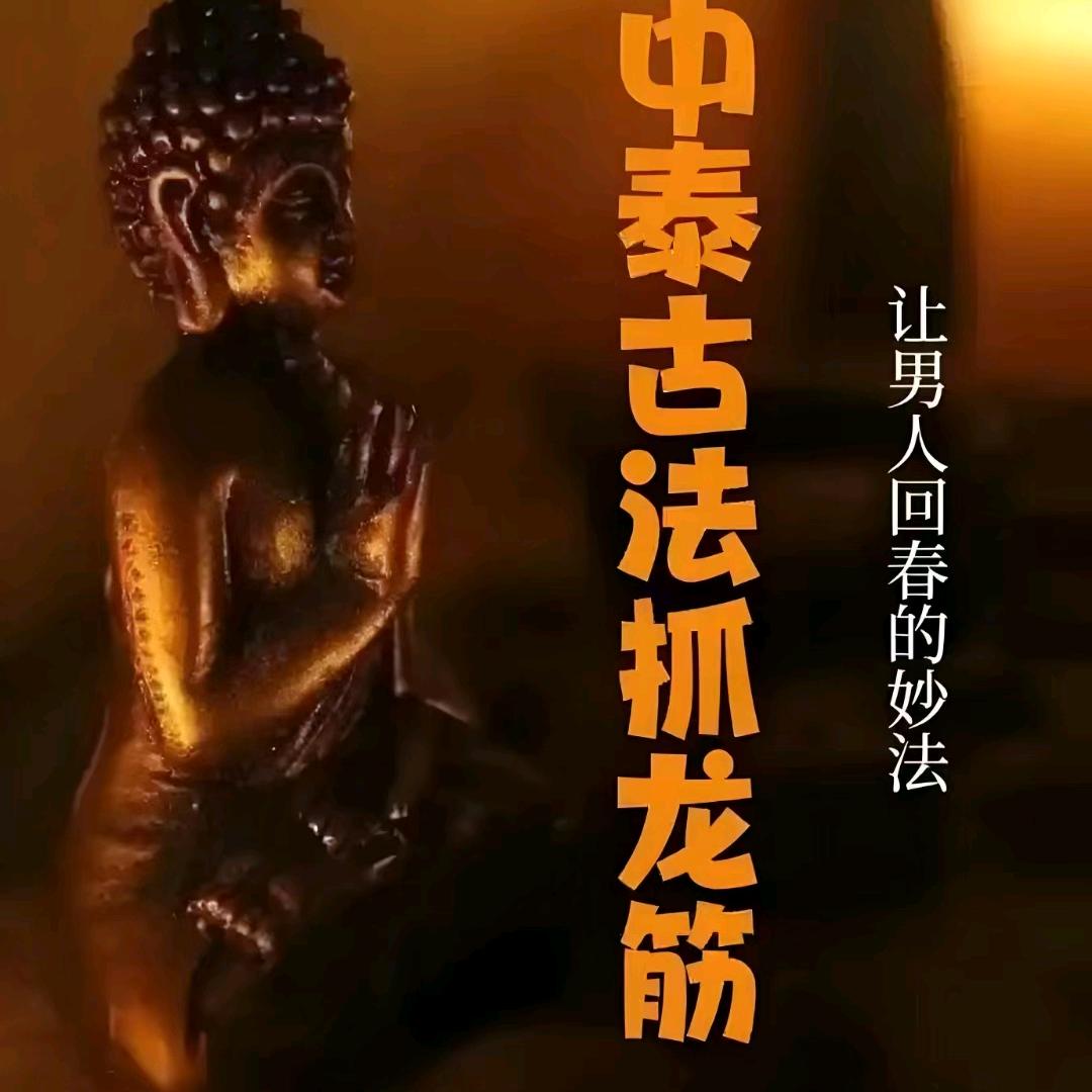 静待花开富贵竹