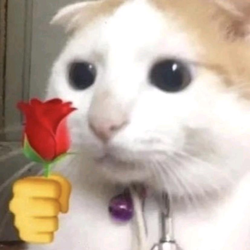 赠人玫瑰，手留余香