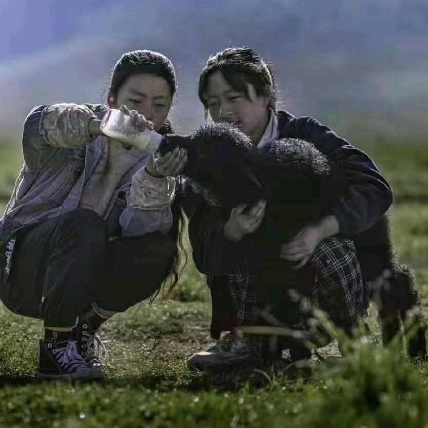 卓玛