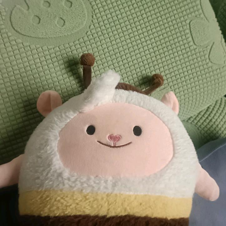 龙游天下，。
