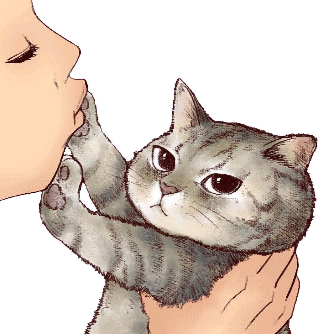 离盏