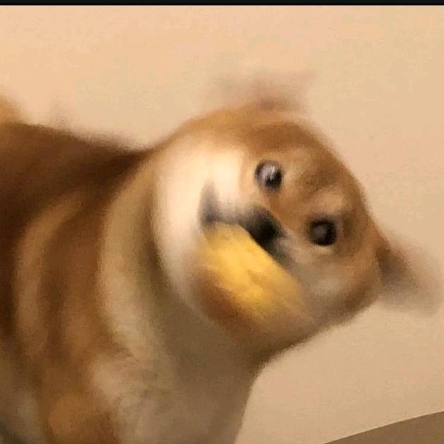 ༊ღ᭄李好吖꧔ꦿ᭄