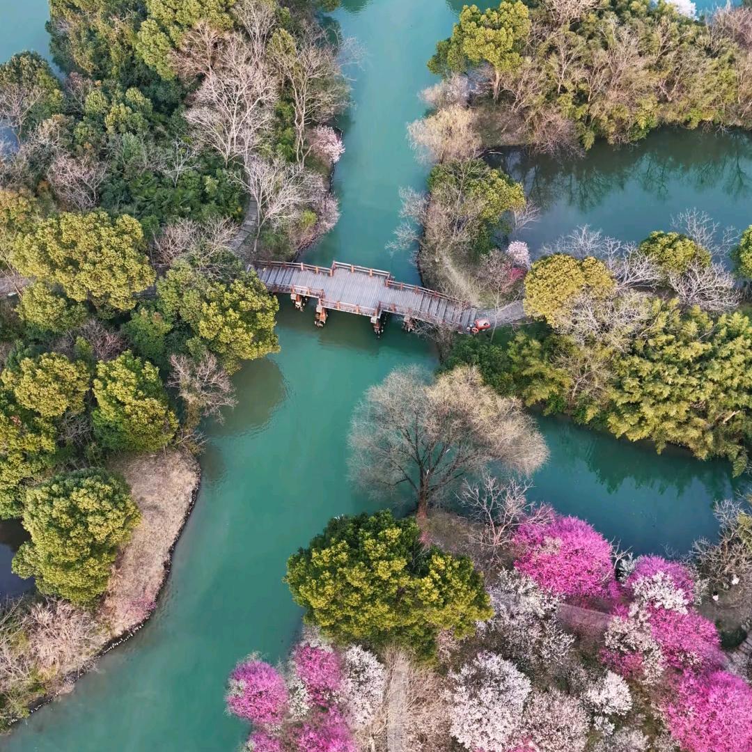 苏杭路线问管家