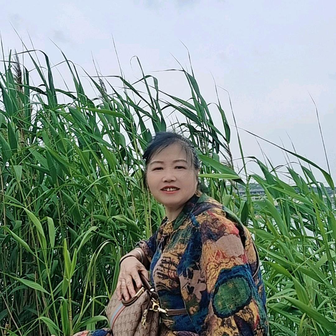 美好的未来
