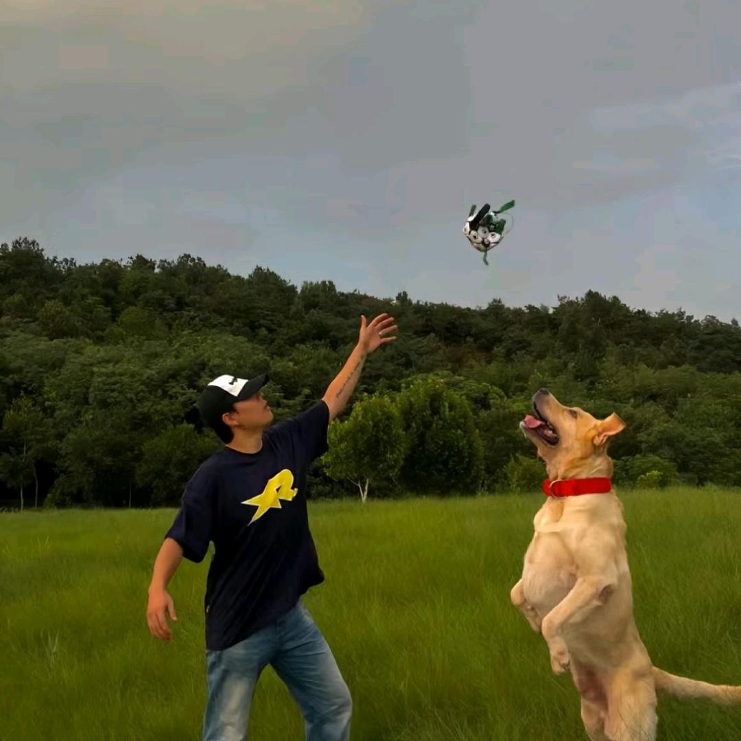 贾同学（努力版）