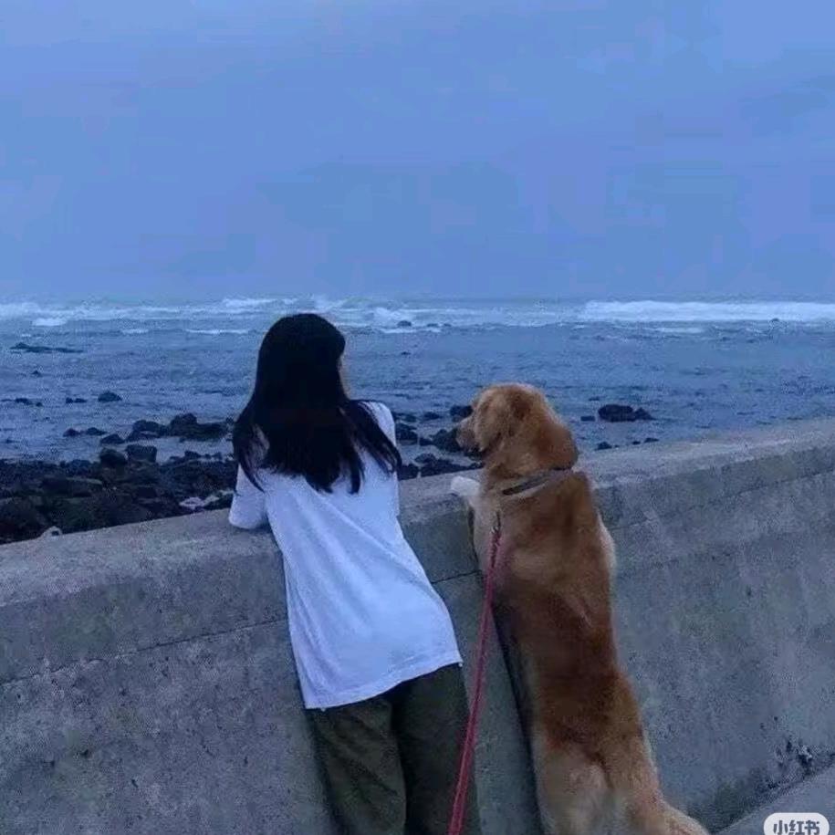 正南没有搬家