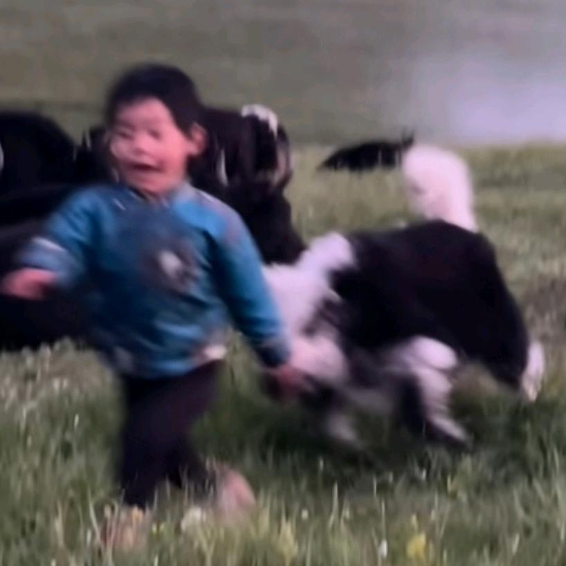 鼻嘎拌酸菜馋哭隔壁老太