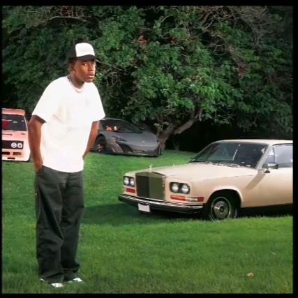 幸福是蓝莓味吗