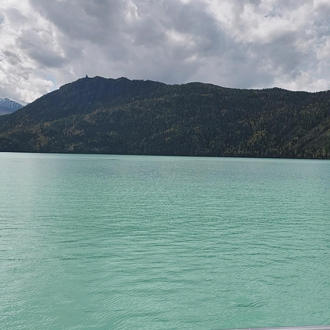 Miss  Yang高价代收泥姜（莱州）