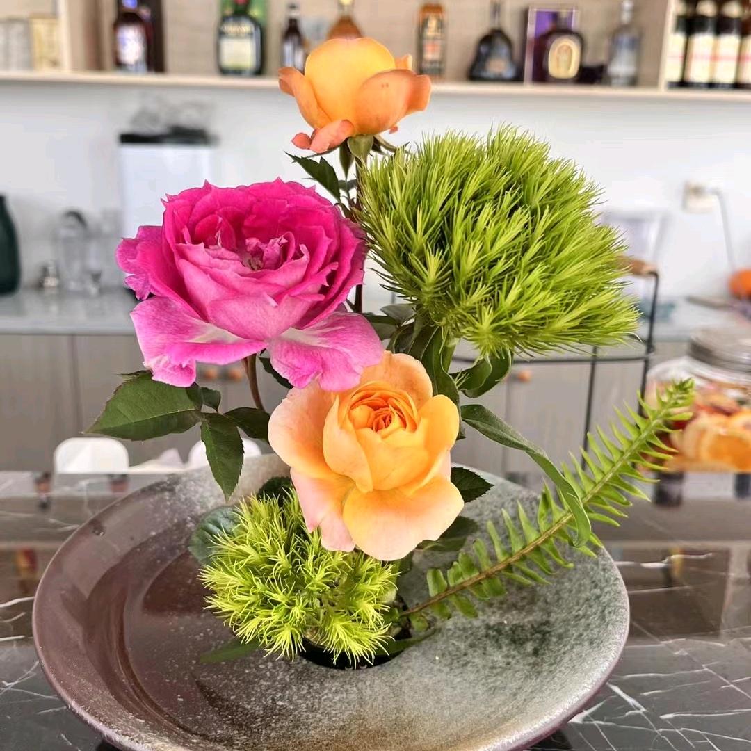 🌸菲菲的花园💐