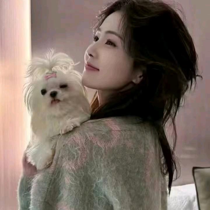 小七小七