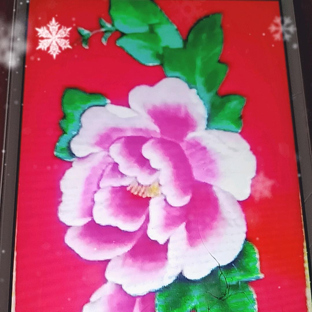 花花