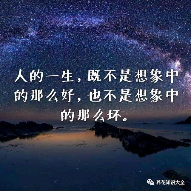 加油加油，勇往直前不回头！