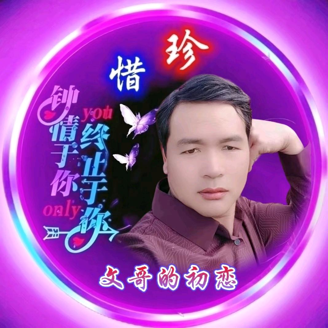 文哥的初恋