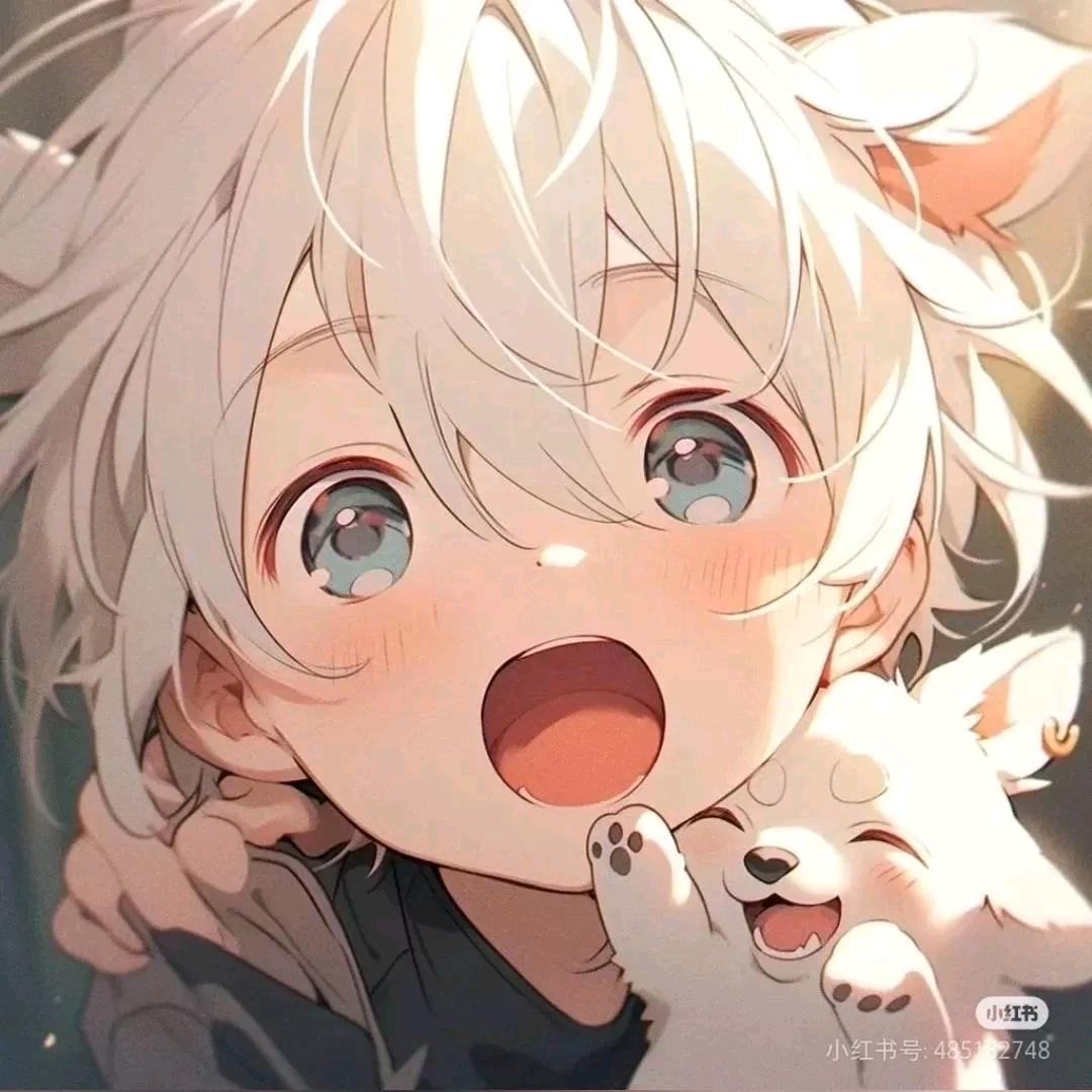九亿少女的梦