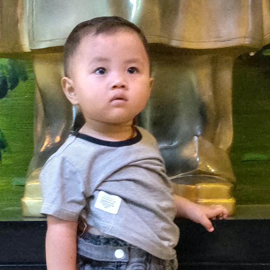 哥在它乡漂