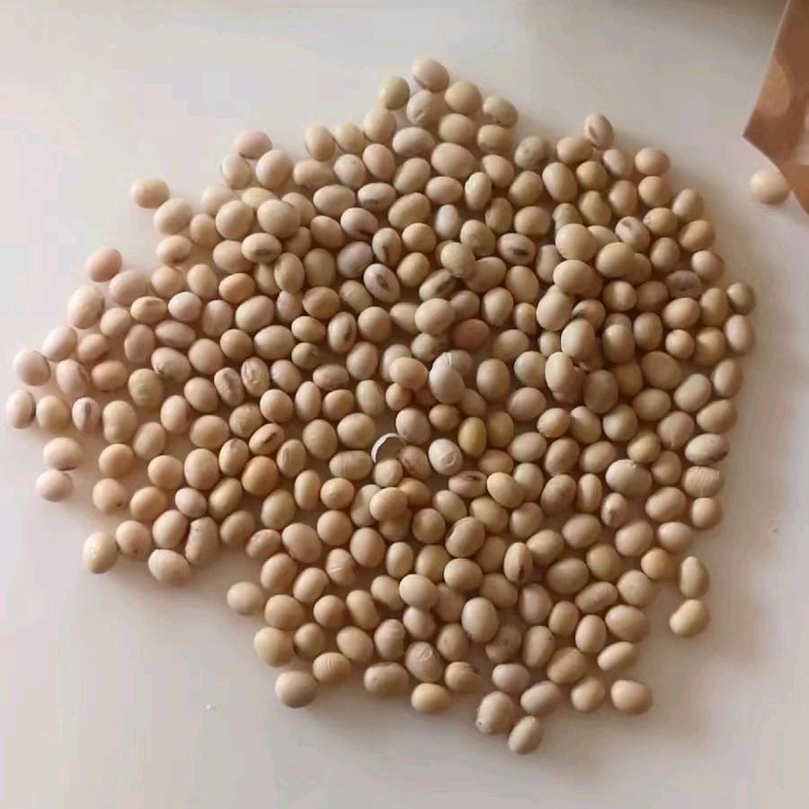 逾期不回难得一见