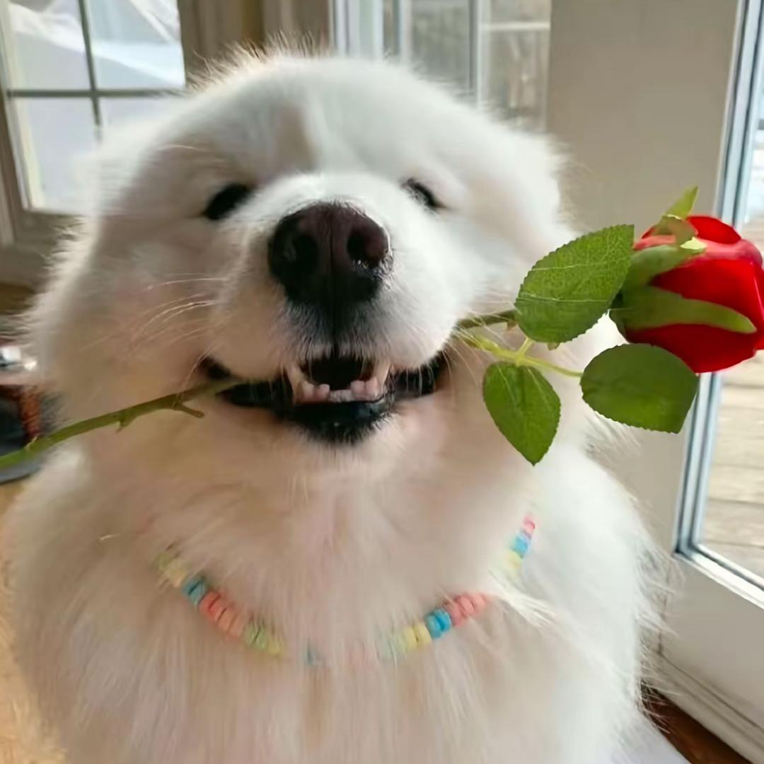 带老奶奶玩漂移