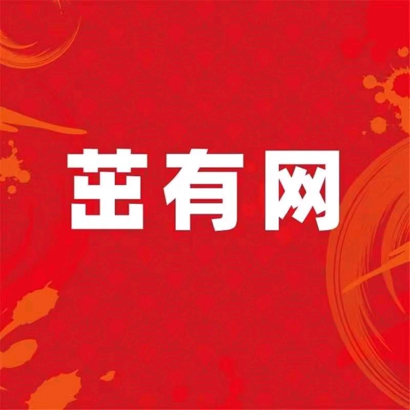 茁有网大俄事业部