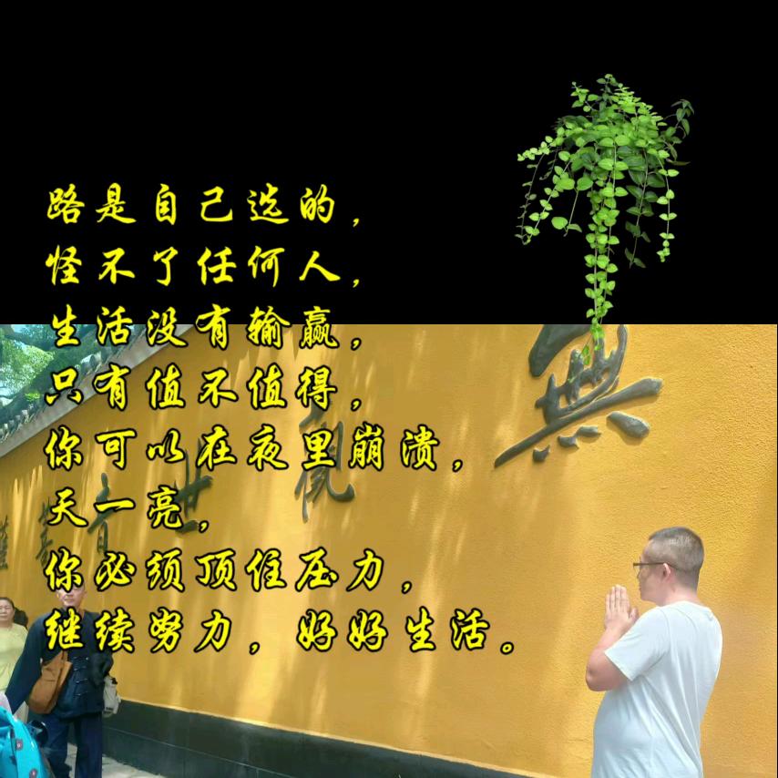 💞低保&大爷💞